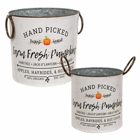 *2/Set Farm Fresh Pumpkins Buckets