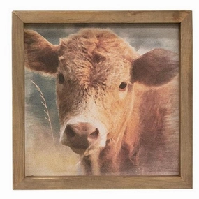 *Cow Portrait Framed Print