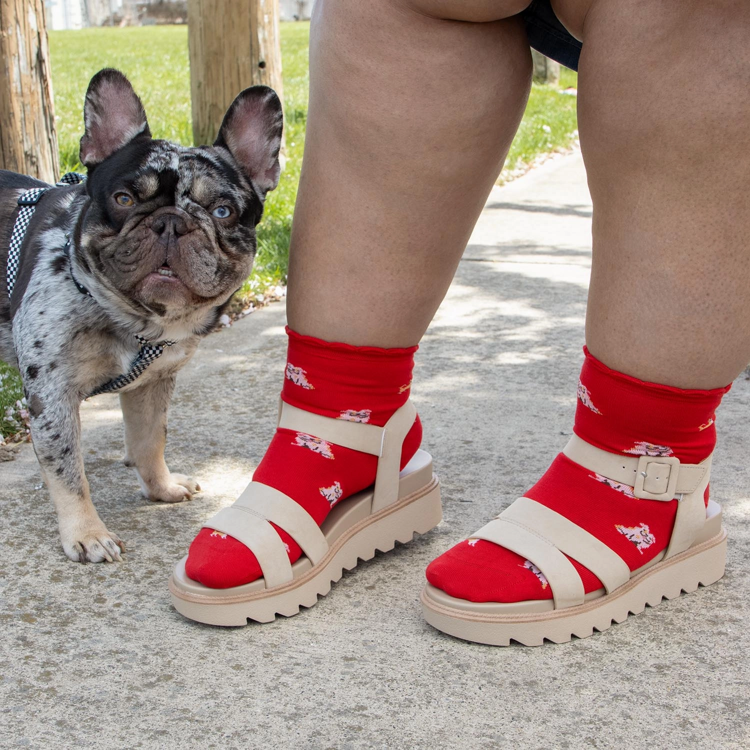 Bamboo Ankle Socks - 3 Pairs in Woof