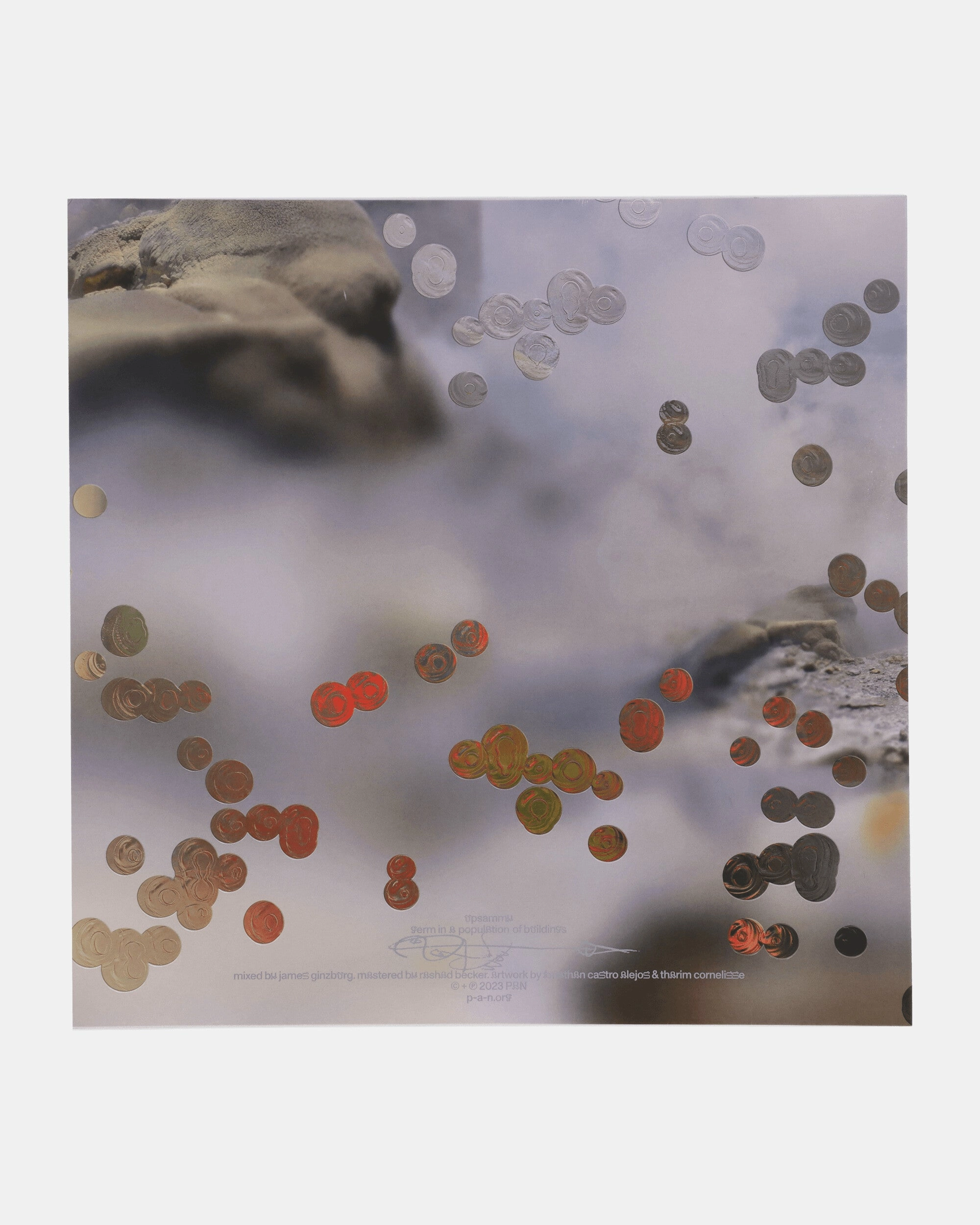 Germ In A Population Of Buildings Vinyl
