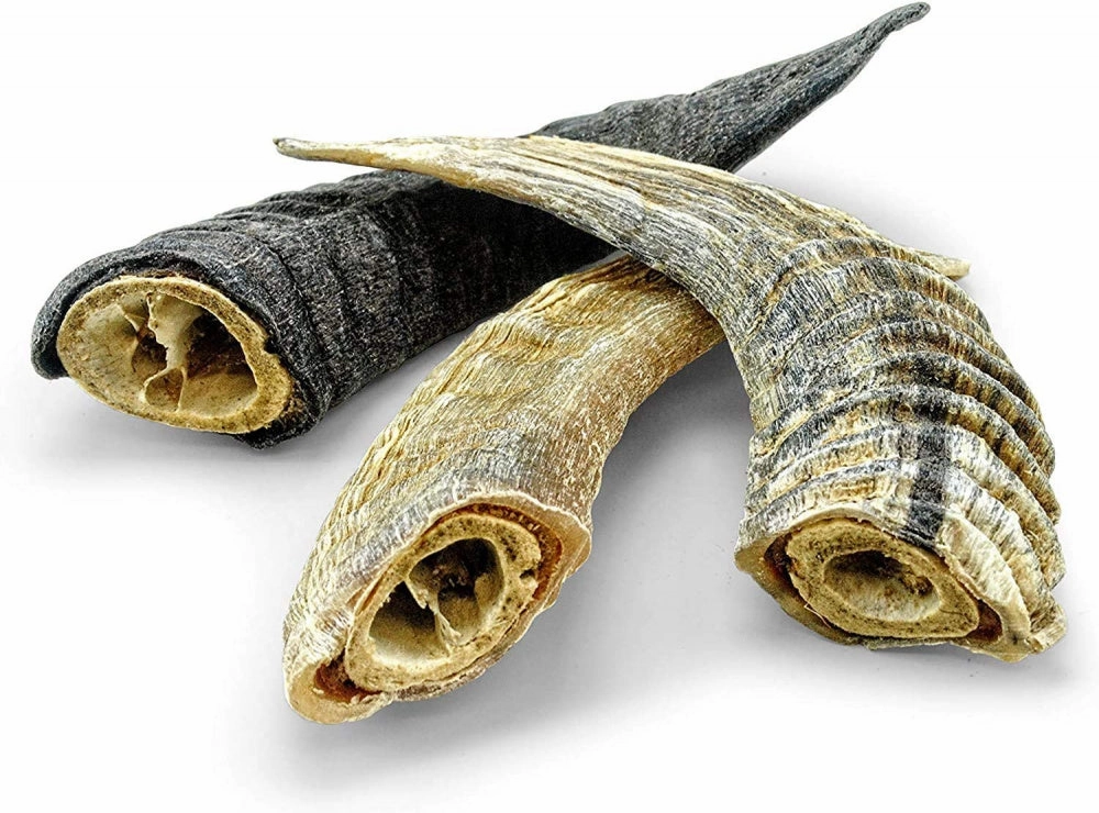 Icelandic  Small Lamb Horn with Marrow Dog Treat