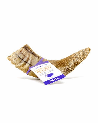 Icelandic  Small Lamb Horn with Marrow Dog Treat