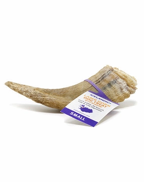 Icelandic  Small Lamb Horn with Marrow Dog Treat