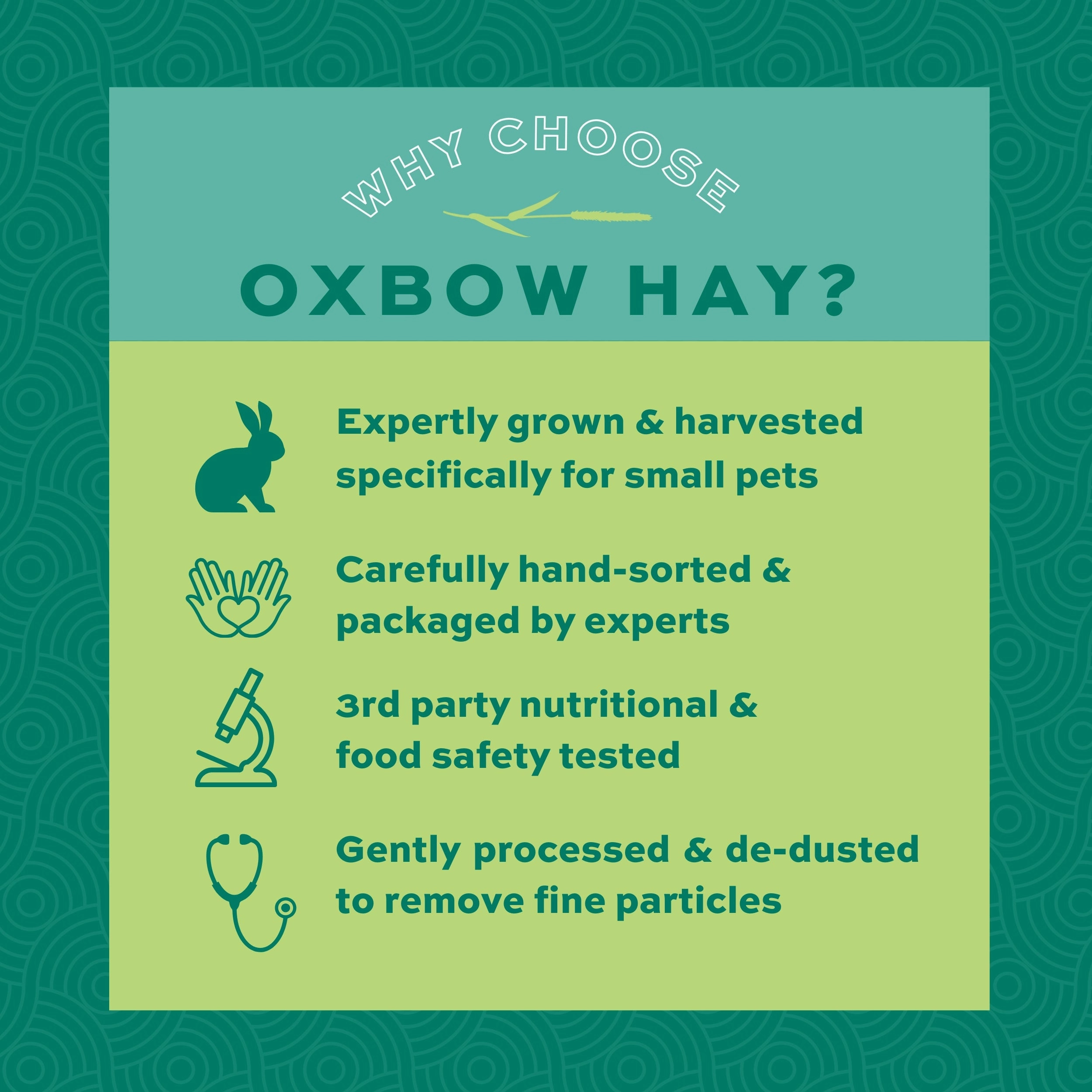 Oxbow Animal Health Western Timothy Hay 90oz