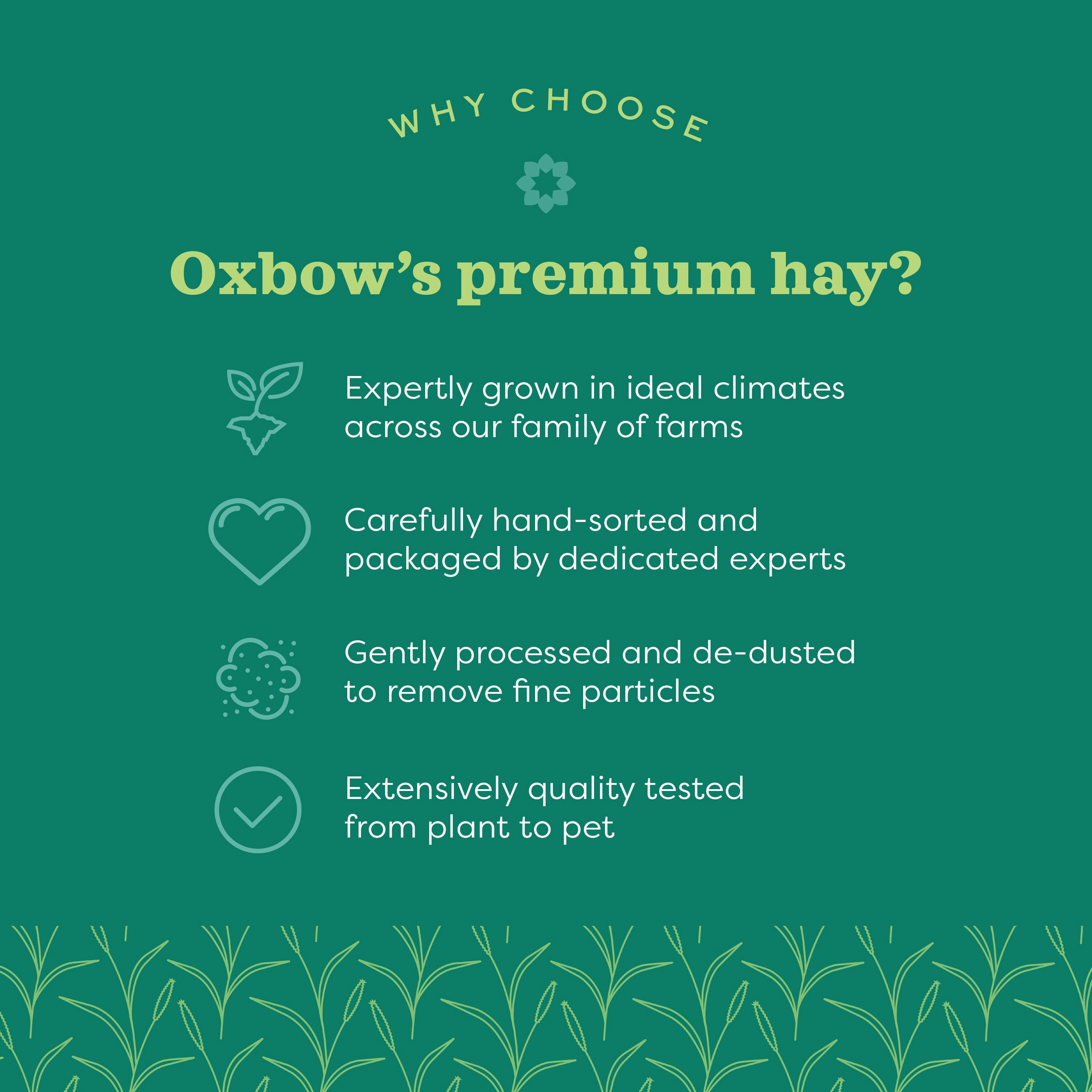Oxbow Animal Health Western Timothy Hay 90oz