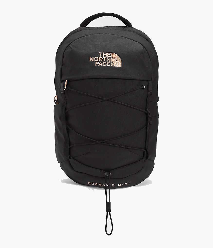 The North Face Borealis Mini Backpack