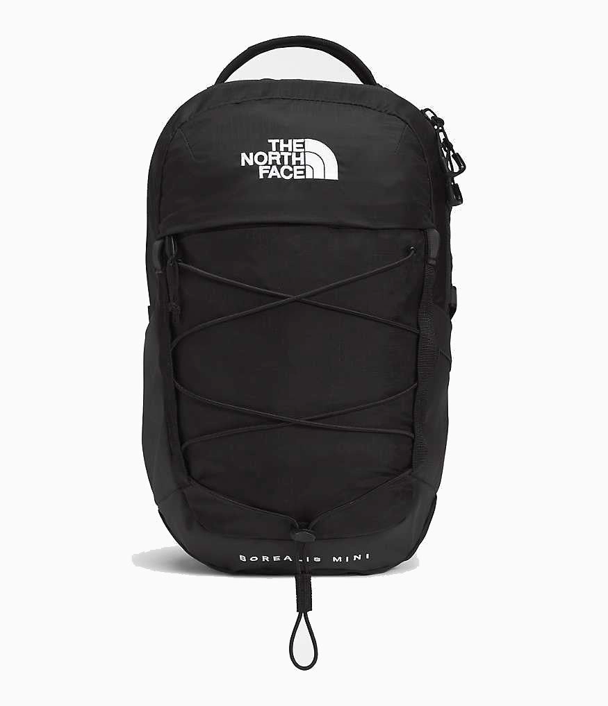 The North Face Borealis Mini Backpack