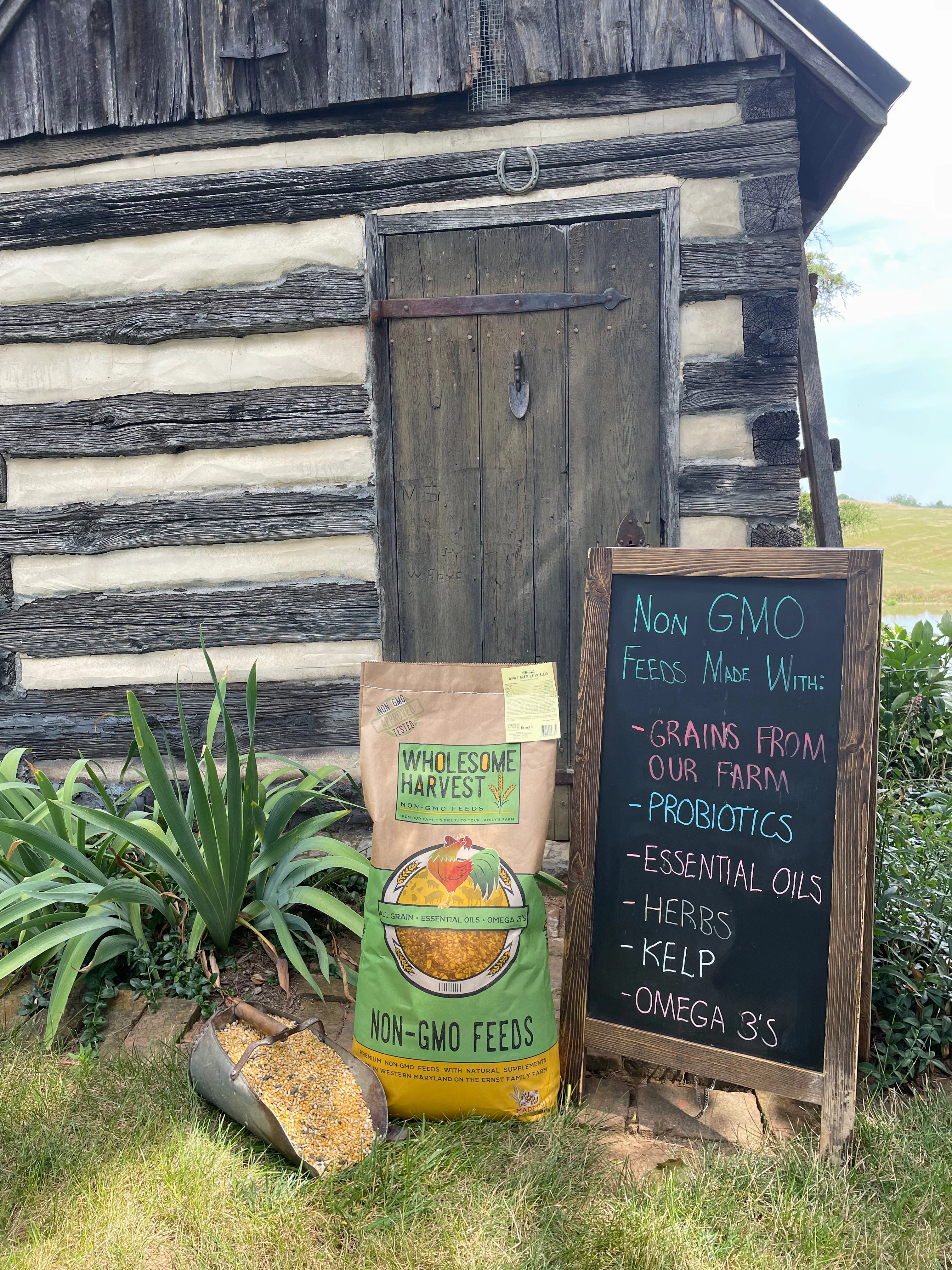 Wholesome Harvest Non-GMO Turkey & Game Bird Starter 28% for Growing Turkeys, Quail, Peacocks, Guineas, Pigeons, and Pheasants